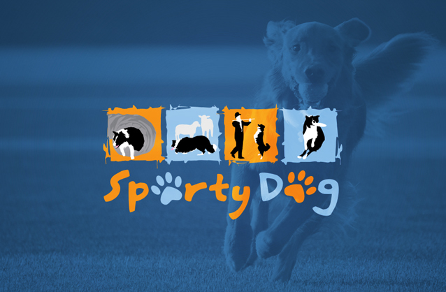 Equipment for dog's sports